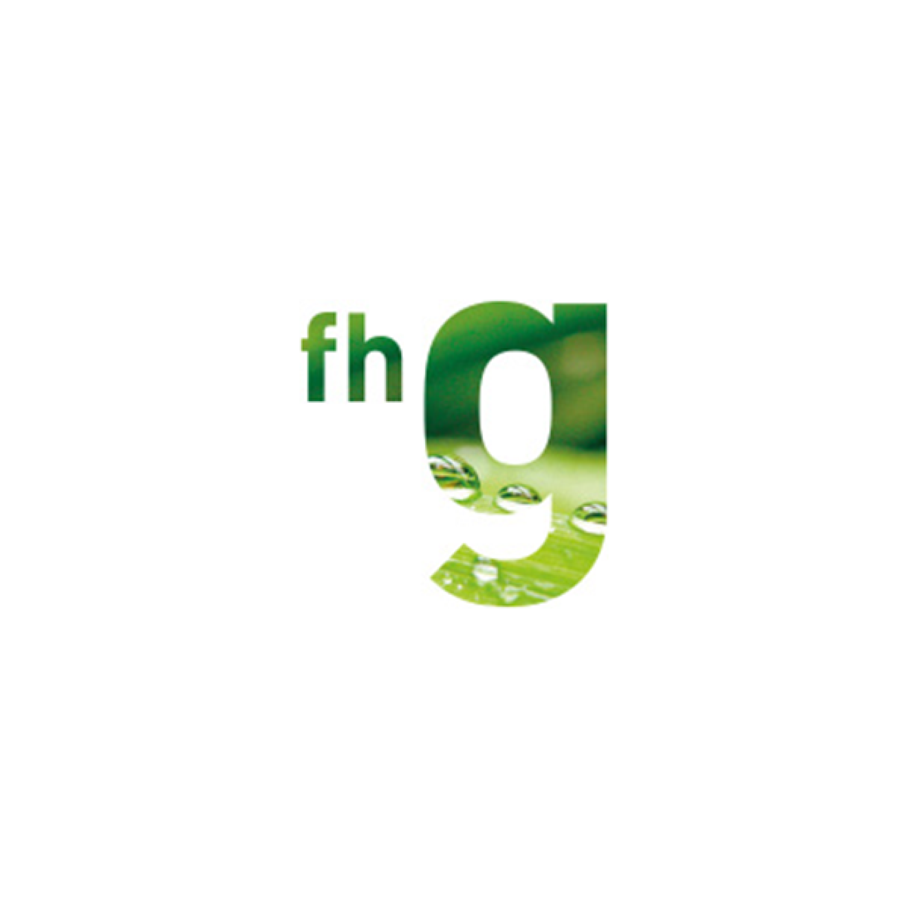 fhg Logo