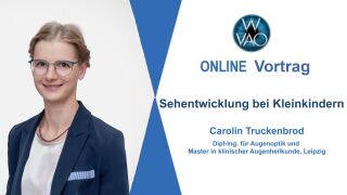 Carolin Trcukenbrod hält Online-Vortrag
