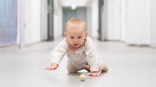 Baby krabbelt