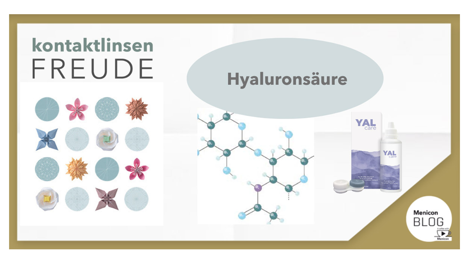 Menicon Blog - Hyaluronsäure